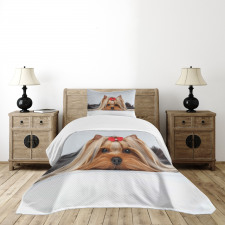 Lying Dog Ribbon Love Bedspread Set