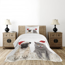 Christmas Themed Dog Photo Bedspread Set