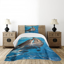 Aqua Show Photography Bedspread Set