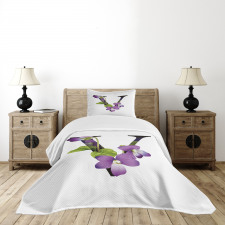Viola Sororia Flower Bedspread Set