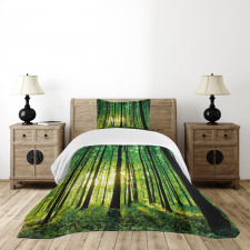 Green Woodland Sunrise Bedspread Set