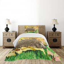 Little Hedgehog Bedspread Set