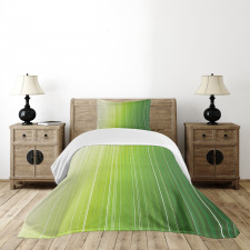 Ombre Color Stripe Digital Bedspread Set