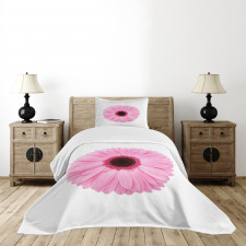 Gerber Daisy Bedspread Set