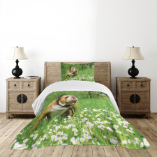 Blossom Daisies Bedspread Set