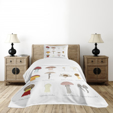 Blusher Boletus Sketch Bedspread Set