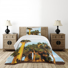 Tropical Baobabs Bedspread Set