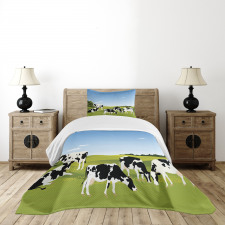 Graphic Domestic Cows Bedspread Set