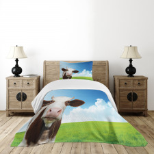 Staring Brown Animal Bedspread Set