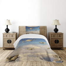 3D Retro Biplanes Bedspread Set