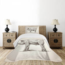 Vintage Hand-Drawn Image Bedspread Set