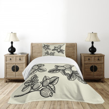 Rosa Canina Sketch Bedspread Set