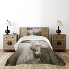 Fluffy Wooly Sheep Herd Bedspread Set