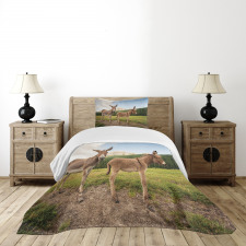 Dolomites Italy Countryside Bedspread Set