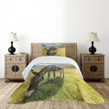 Donkey Eating Grass Mountain Bedspread Set