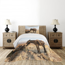 Greek Donkey in Mountains Bedspread Set