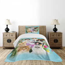 Cats Feline Domestic Bedspread Set