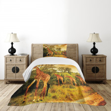 Safari Animals Bedspread Set