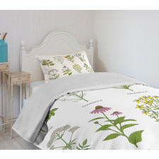 Natural Cosmetics Flowers Bedspread Set