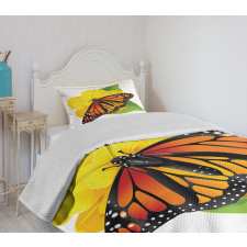 Moth Flower Bedspread Set