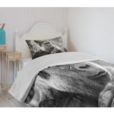 Close up Shot Ape Animal Bedspread Set