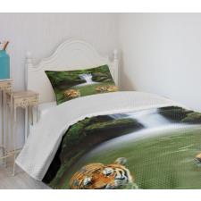 Siberian Tigers Bedspread Set