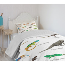 Exotic Lizard Reptiles Bedspread Set