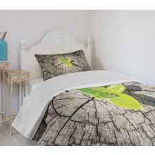 Dried Earth Planet Bedspread Set