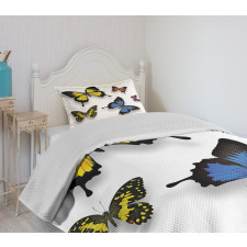 Nature Moths Wings Bedspread Set