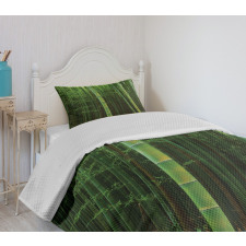 Exotic Bamboo Tree Forest Bedspread Set