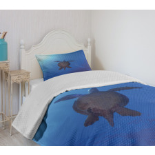 Sea Turtle in Deep Sea Bedspread Set