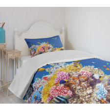 Tropical Corals Fish Bedspread Set