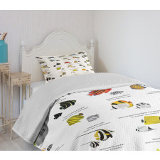 Underwater Aquatic Species Bedspread Set