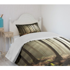 Morning Forest Scenery Bedspread Set