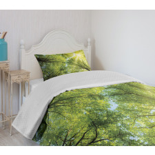 Romantic Beech Trees Bedspread Set