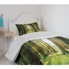 Sunny Day in the Forest Bedspread Set