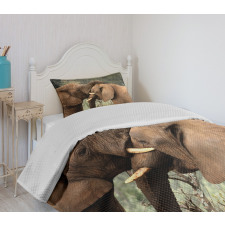 Safari Animals Savanna Bedspread Set