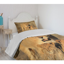 Safari Lions Wilderness Bedspread Set