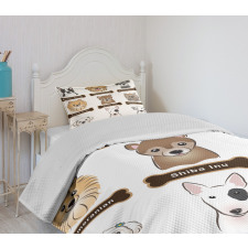 Boston Terrier Dogs Bedspread Set