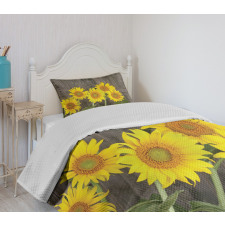 Helianthus Sunflowers Bedspread Set