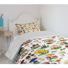 Mushrooms Wild Organic Bedspread Set