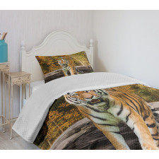 Tiger in Forest Bedspread Set