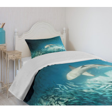 Animals Teal Wildlife Bedspread Set