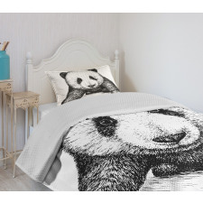 Baby Panda Bear Sketch Bedspread Set