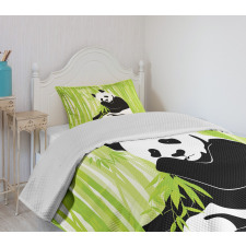 Panda in Bamboo Forest Bedspread Set