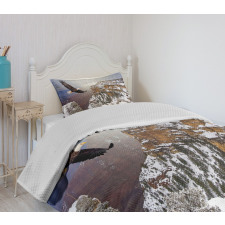 Bald Eagle Landscape Bedspread Set