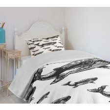 Hand Drawn Big Whales Bedspread Set