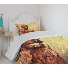 Dog Wearing Hat Glasses Bedspread Set