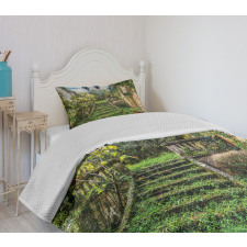 Floral Ivy Fairy Theme Bedspread Set