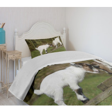 Farm Life with Goats Bedspread Set